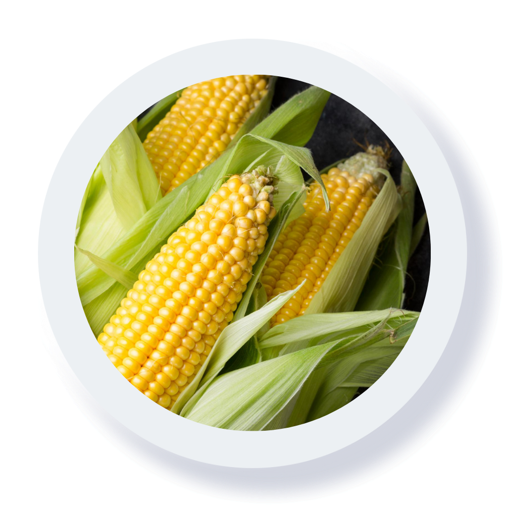 corn